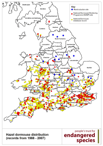 DormouseDistribution1988-2007_forIW