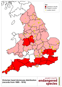 VictorianDormouseDistribution_forIW